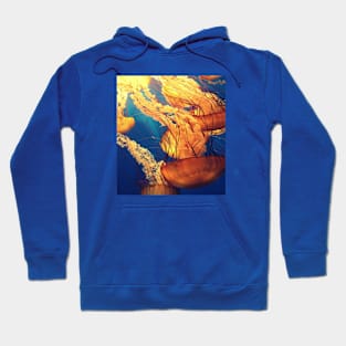 nature of blue ocean jellyfish Hoodie